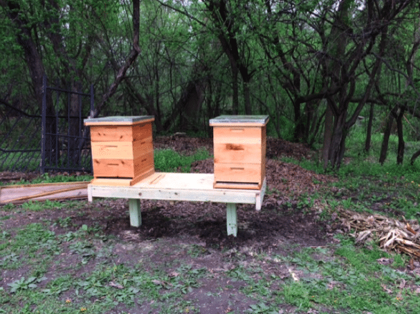 The Birds & The Bees….